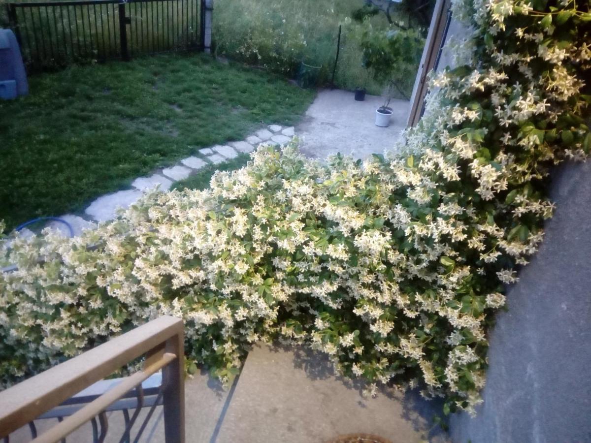 La Maison De Papagran Cir Charvensod-0007 Аоста Екстер'єр фото